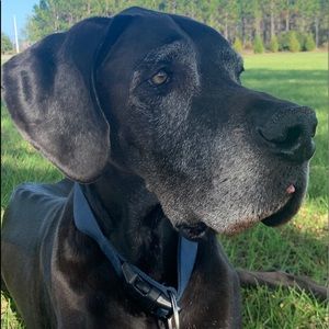 Meet your Posher, Debra